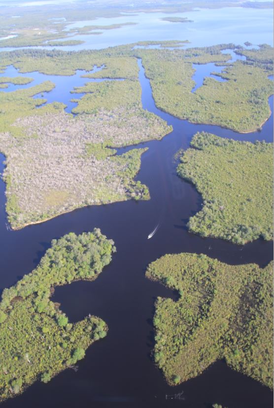salah satu Ramsar Site di Indonesia