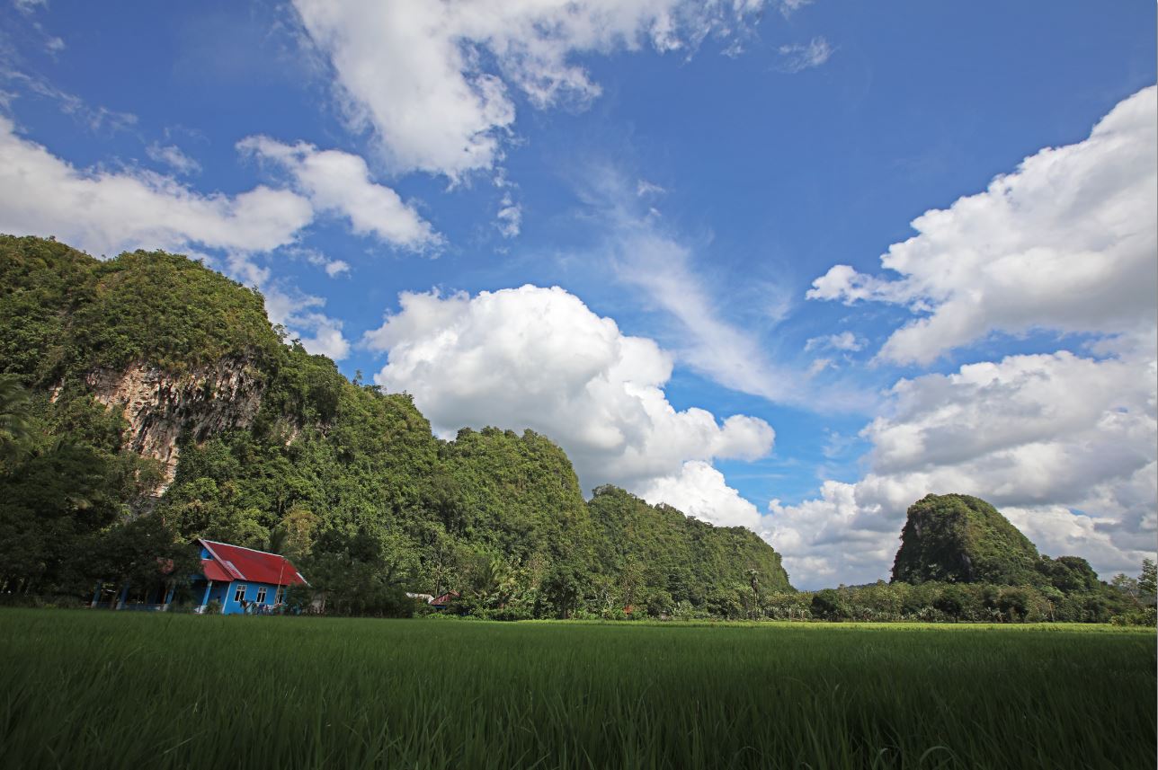 Spectacular tower karst of Bantiburung Bulusaraung National Park. Karst yang memiliki bentuk seperti tower yang terluas di Indonesia terdapat di Kawasan Karst Maros-pangkep.  Topografi karst ini merupakan batuan karbonat (CaCO3 atau MgCO3) atau campuran dari keduanya, yang telah mengalami proses pelarutan (karsifikasi) oleh CO2 atmosfir melalui air hujan, maupun CO2 biogenik yang berasal dari sisa tanaman atau humus.  Batuan karbonat terbentuk di bawah laut sebagai salah satunya kita kenal dengan ekosistem karang. Mengalami pengangkatan ke atas permukaan, akibat proses pelipatan, sehingga muncul sebagai daratan berupa batu kapur.  Karst Maros-Pangkep mengalami karstifikasi sejak 12 juta tahun yang lalu, yakni ketika terjadinya pengangkatan regional Pulau Sulawesi