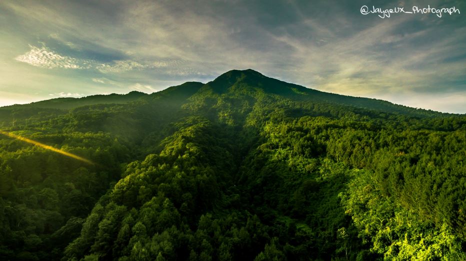 TN Gunung Halimun Salak