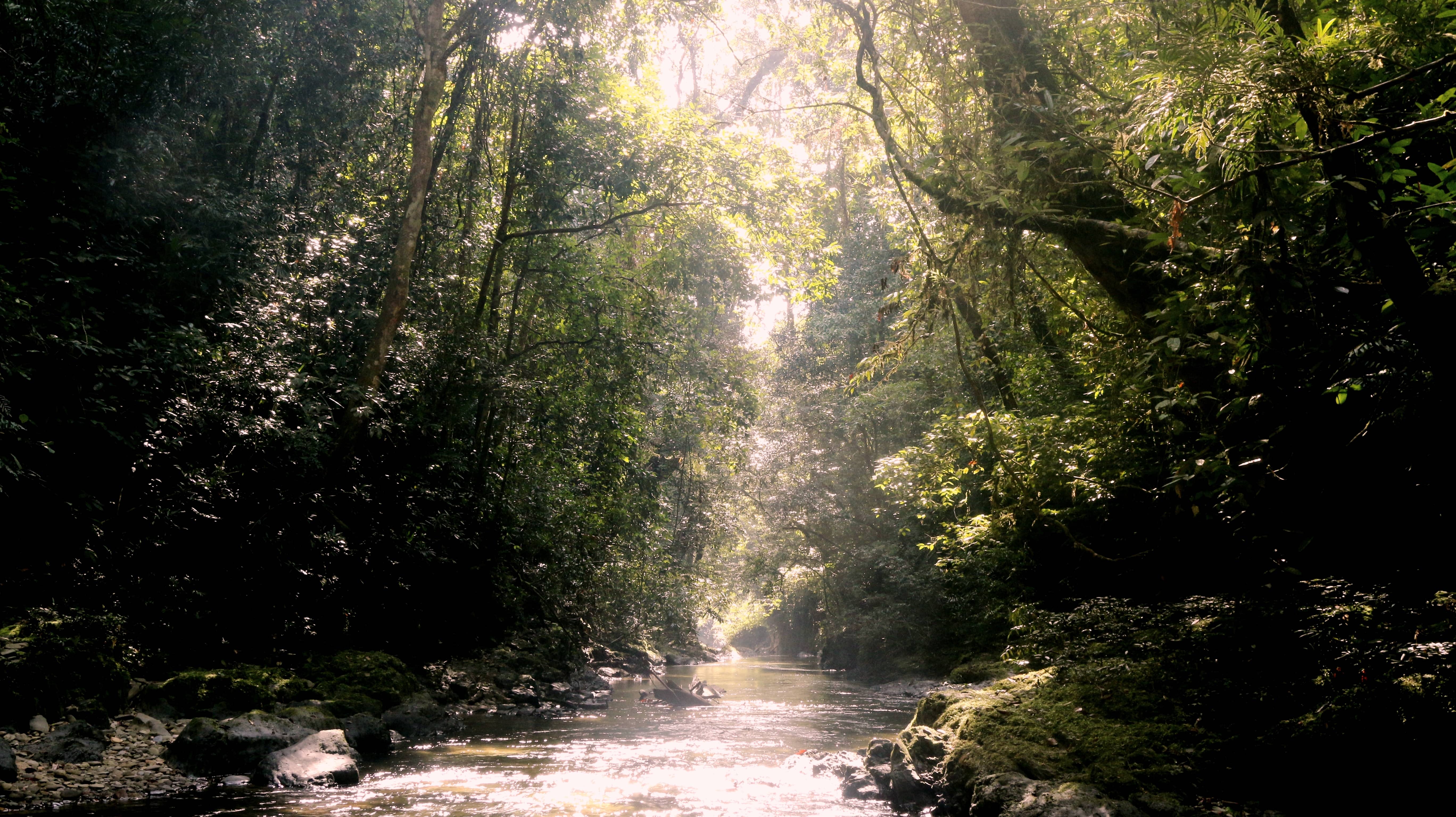 Salah satu Landscape di DAS Simbau Hulu
