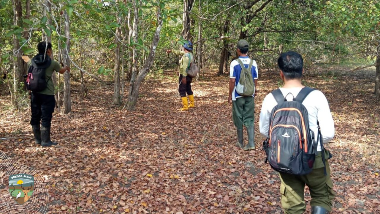 Patroli Pencegahan Kebakaran Hutan di Cagar Alam Pulau Saobi