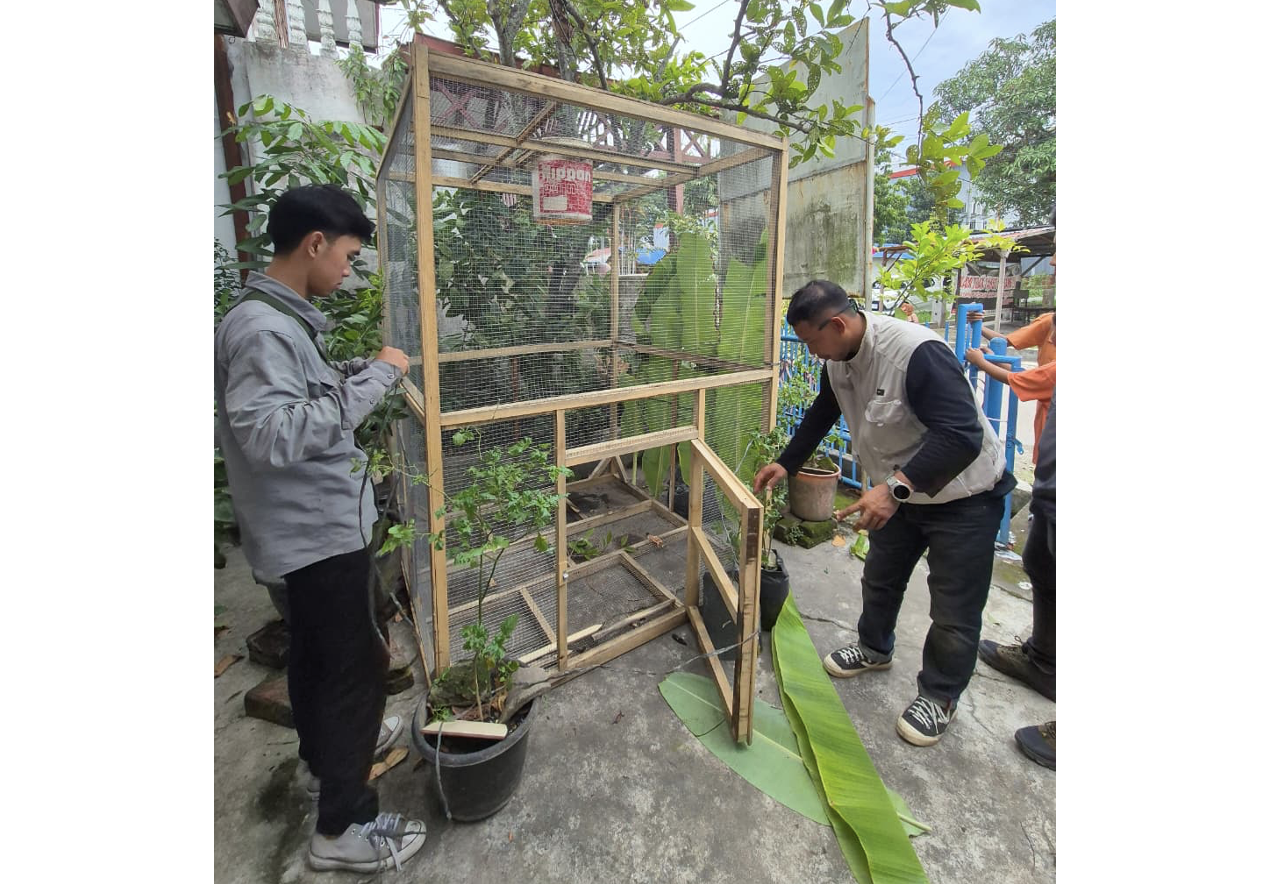 Balai Besar KSDA Sumatera Utara Tangani Interaksi Negatif dengan Monyet Ekor Panjang di Kabupaten Langkat