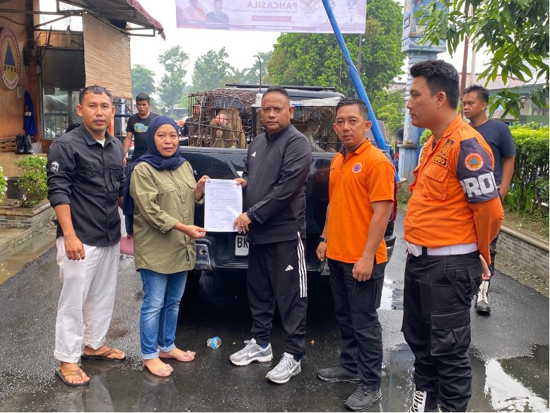 Balai Besar KSDA Sumatera Utara bersama Lembaga Scorpion Indonesia Evakuasi Satwa Liar di Medan dan Binjai