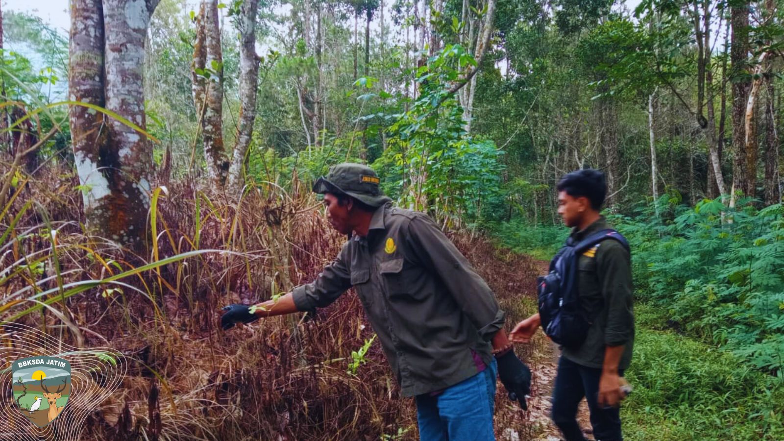 Patroli Pencegahan Karhutla di CA. Gunung Picis dan CA. Gunung Sigogor