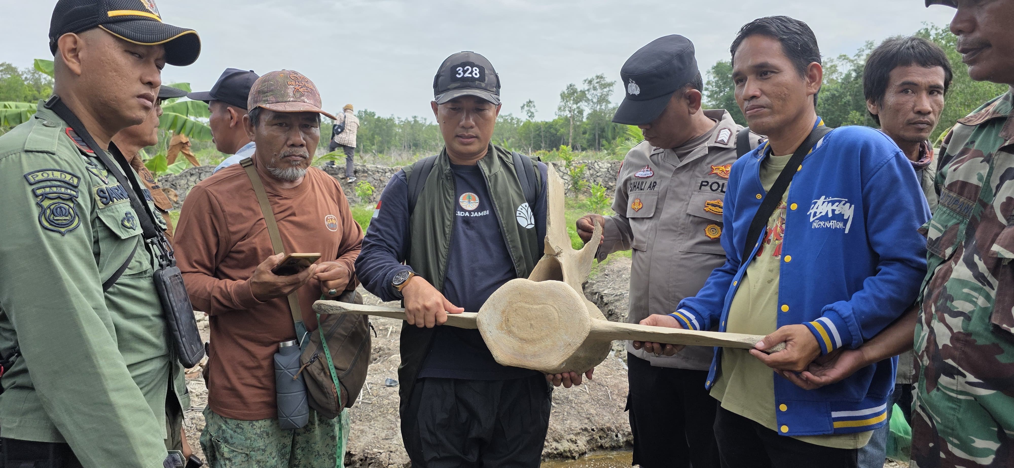 Tim BKSDA Jambi Verifikasi Temuan Tengkorak Berukuran Besar di Tanjung Jabung Barat