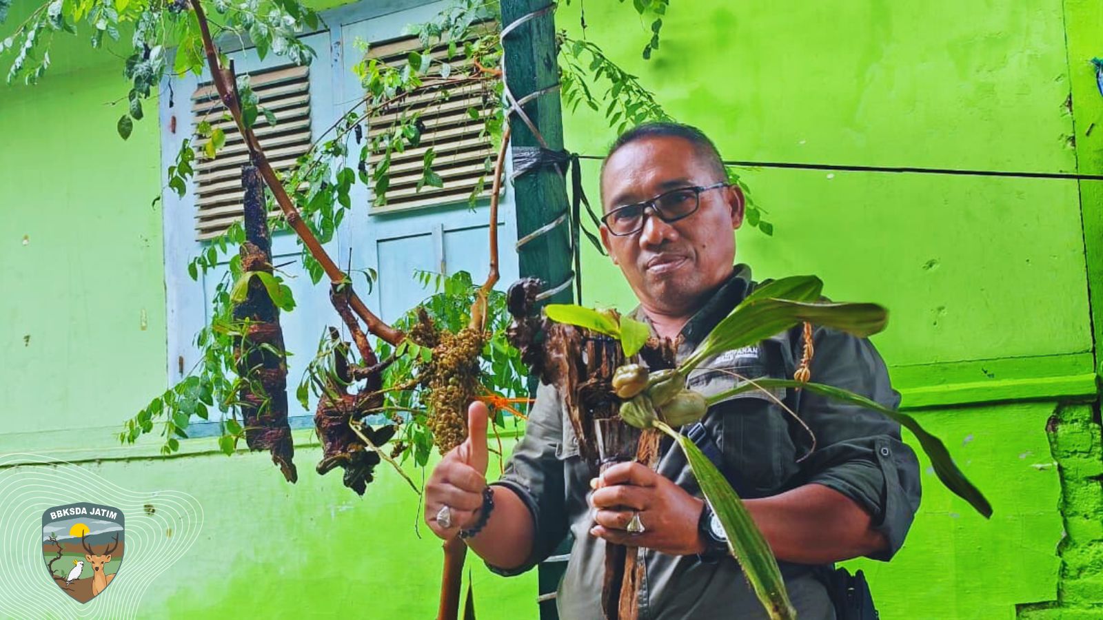 Arboretum Mini di Pulau Bawean, Jejak Hidup dari Rimba yang Dikenang