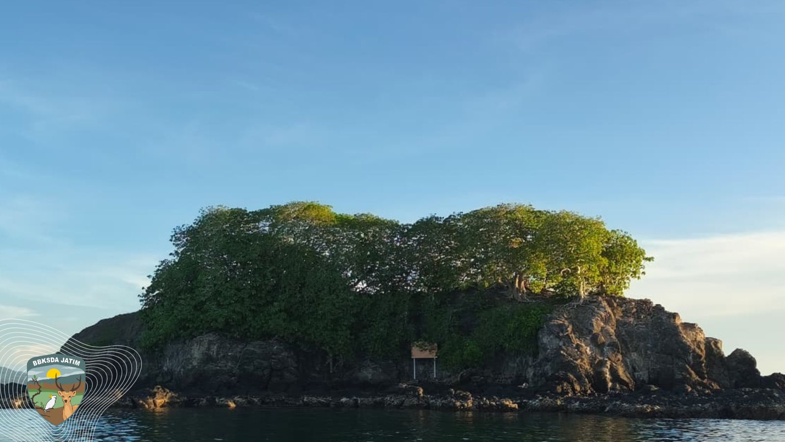 Jejak yang Kita Tanam, Nama yang Kita Jaga, Semangat Baru Konservasi di Pulau Bawean