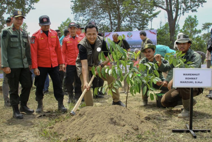 Bersama Menanam, Pulihkan Hutan di Taman Nasional Tesso Nilo