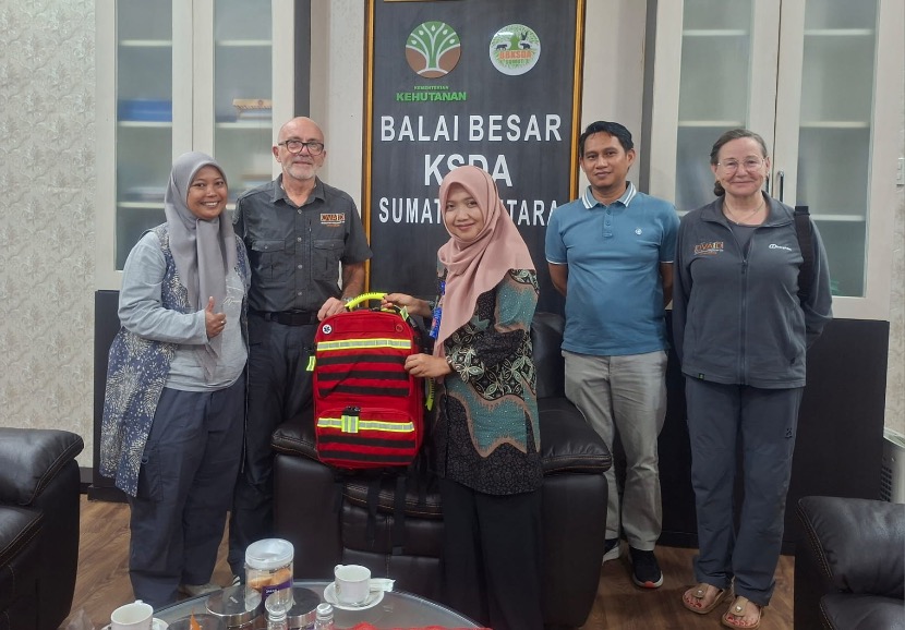 Kolaborasi BBKSDA Sumatera Utara dan OVAID untuk Penguatan Upaya Konservasi Orangutan