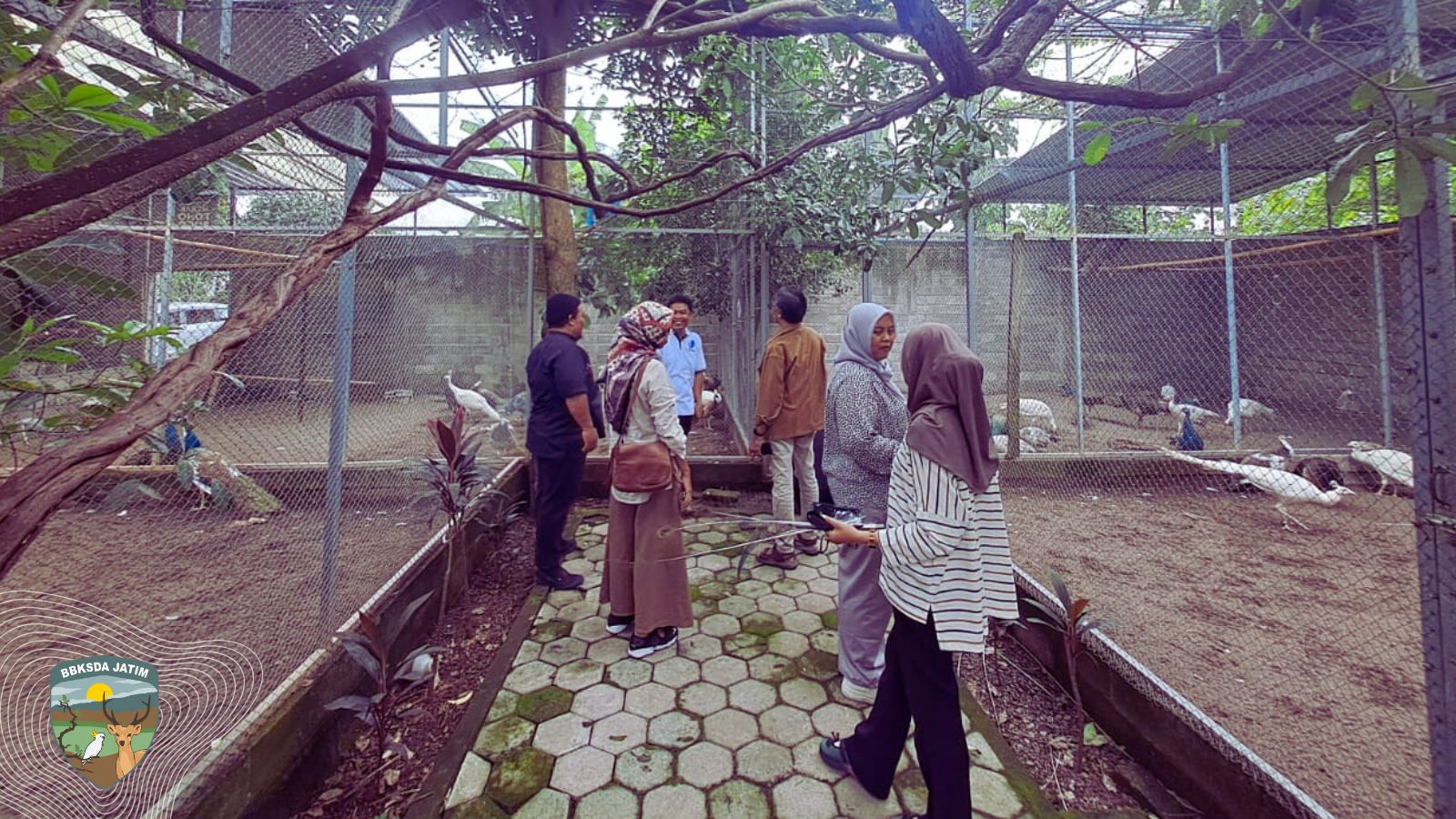 BBKSDA Jawa Timur Dampingi Peneliti Pelestarian Budaya di Kampung Merak