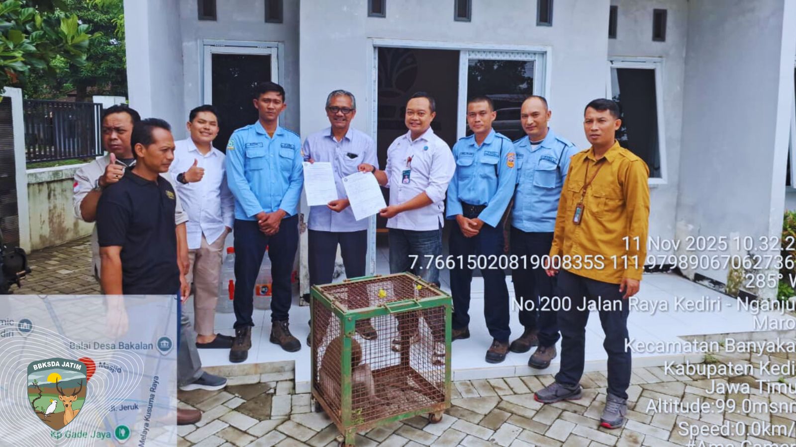 Penyelamatan Owa Jawa, Elang Paria, dan Monyet Ekor Panjang di Kediri