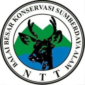 Logo Balai Besar KSDA NTT