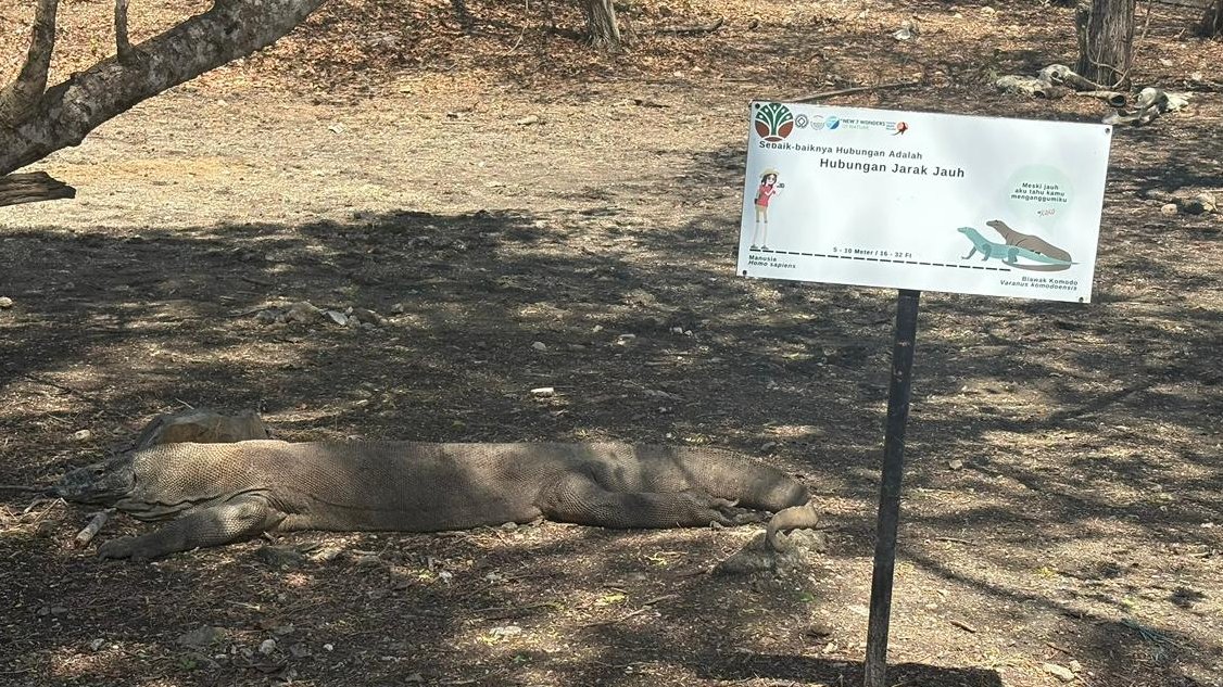 WhatsApp Image 2026-04-07 at 11.02.07