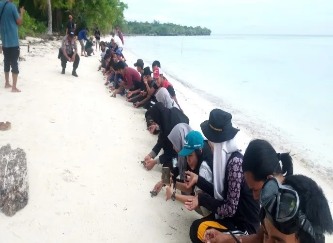 Banner Pelepasan Tukik bersama Peserta Jambore Konservasi Wakatobi