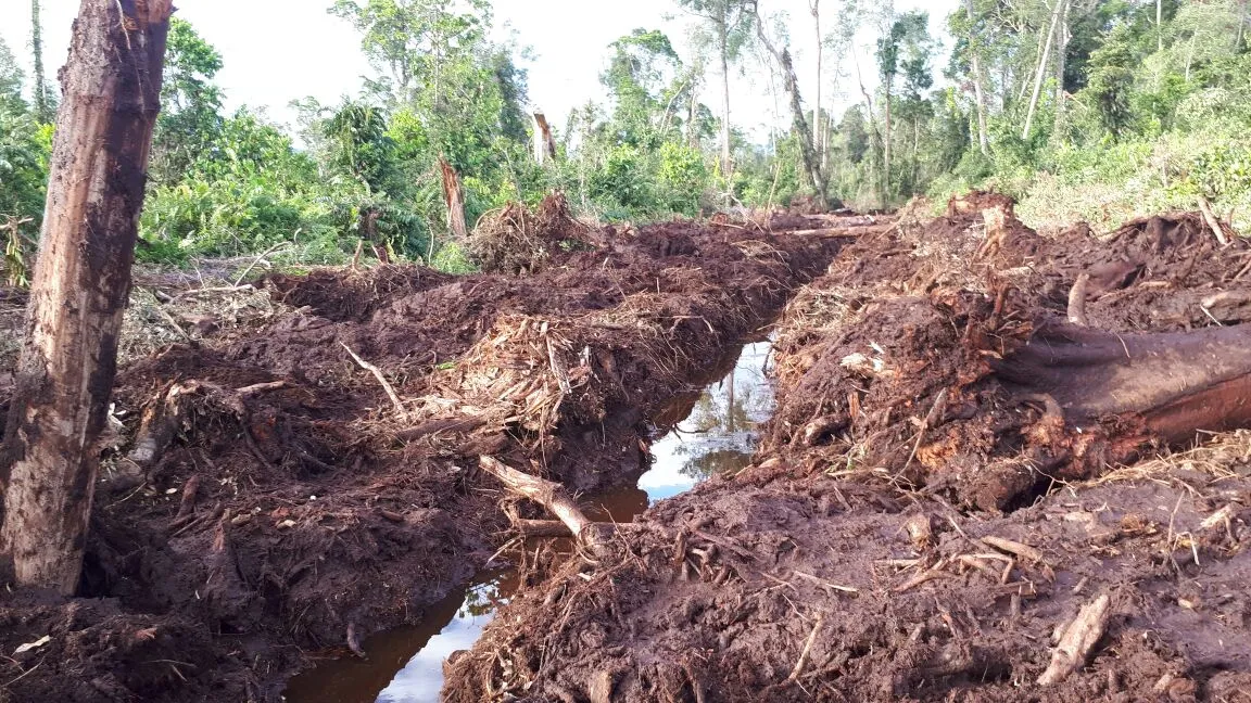 Banner Bersama Musnahkan Akses Illegal di TN Gunung Leuser