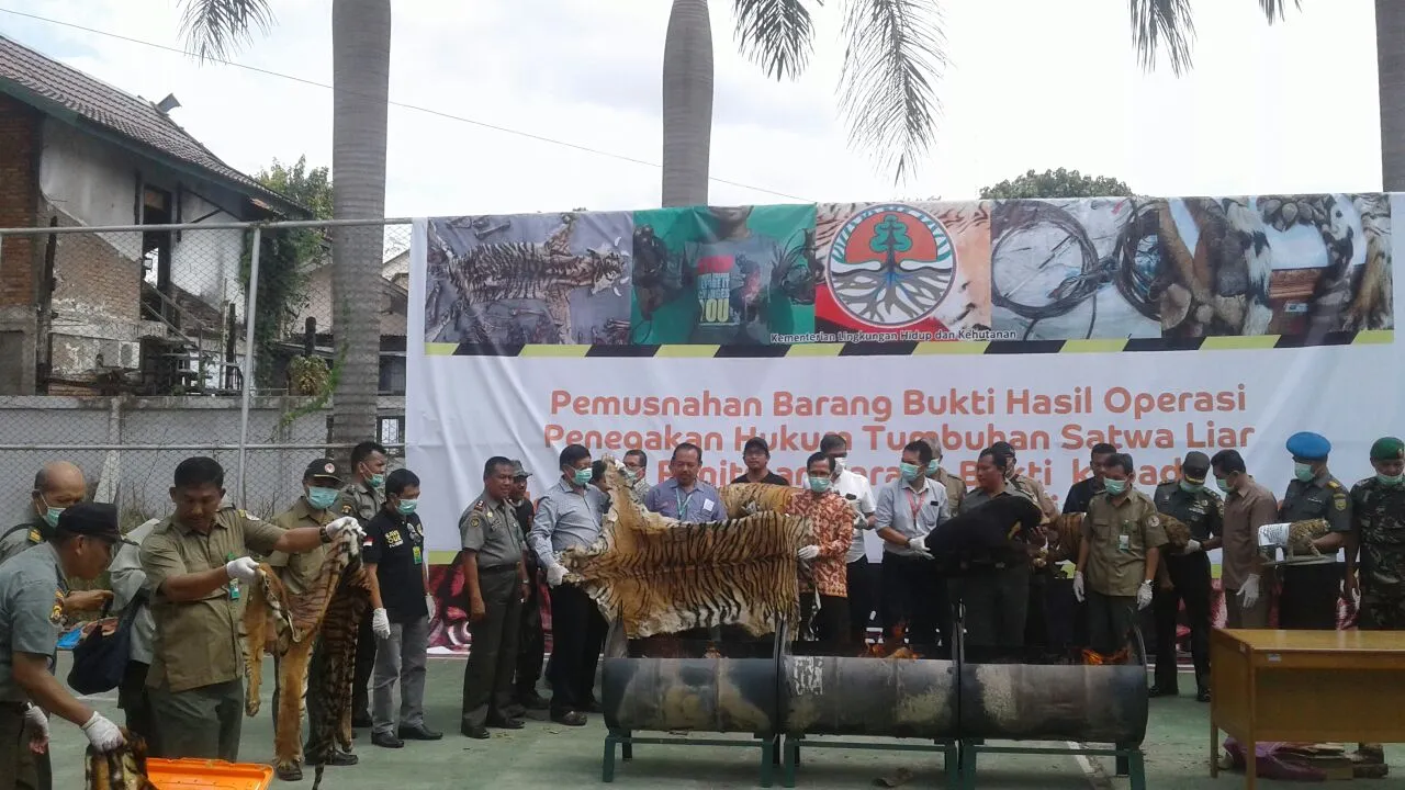 Banner Aksi Balai KSDA Jambi Peringati Global Tiger Day