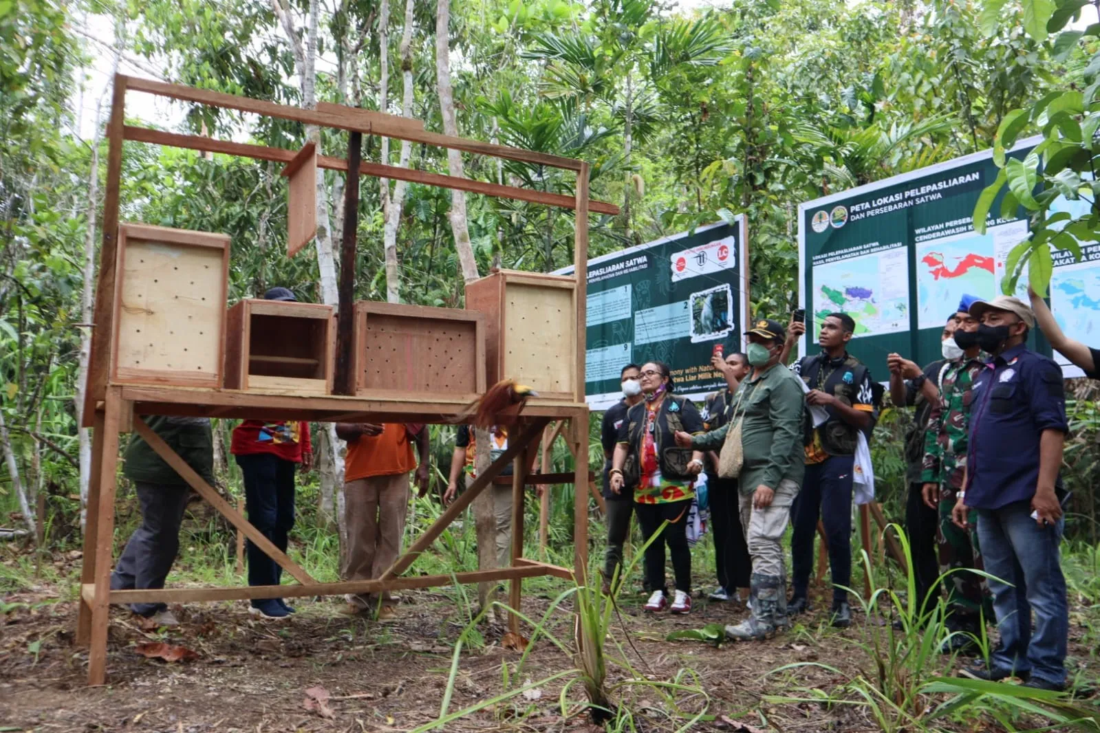 Banner Claudio dan Samice, Peraih Medali Emas PON XX Dukung Pelestarian Satwa Liar Endemik Papua