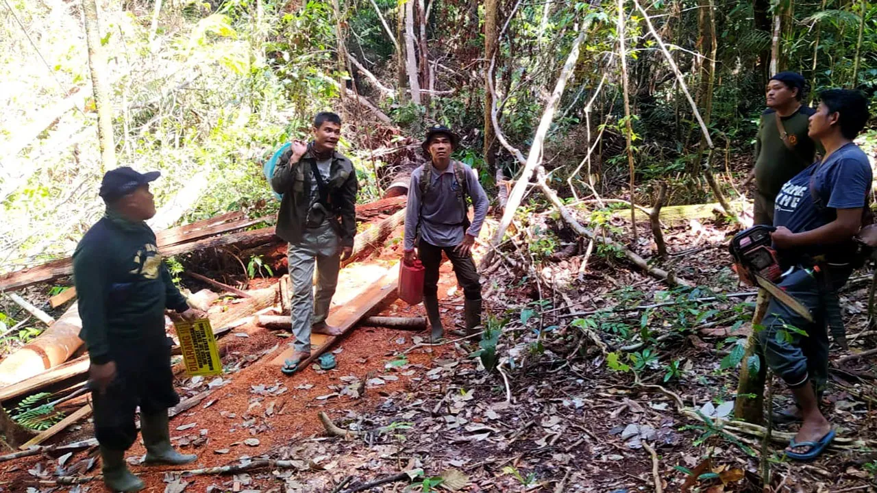 Banner Patroli Terpadu Sapu Jerat SM Bukit Rimbang Bukit Baling