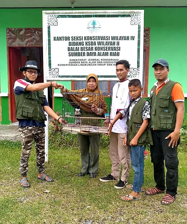 Banner BBKSDA Riau Evakuasi Burung Baza Hitam