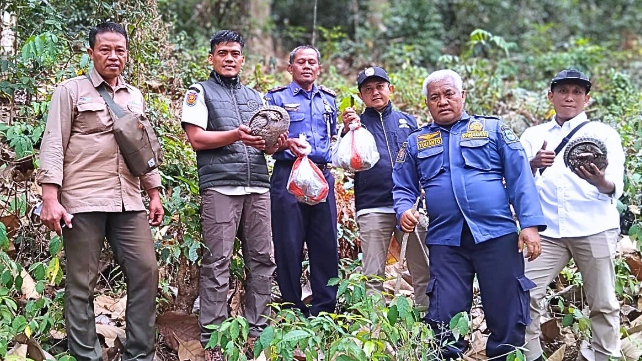 Banner Para Penjaga Hutan yang Akhirnya Pulang