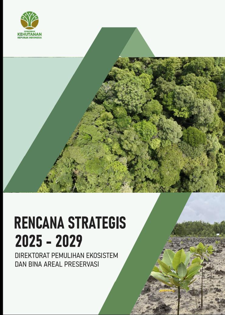 Laporan Rencana Strategis Direktorat PEBAP 2025-2029