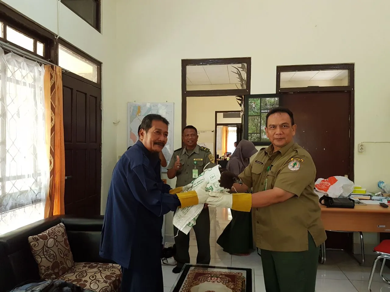 Banner BKSDA Kalimantan Selatan Menerima Penyerahan Satwa Liar Dilindungi Jenis Elang Hitam