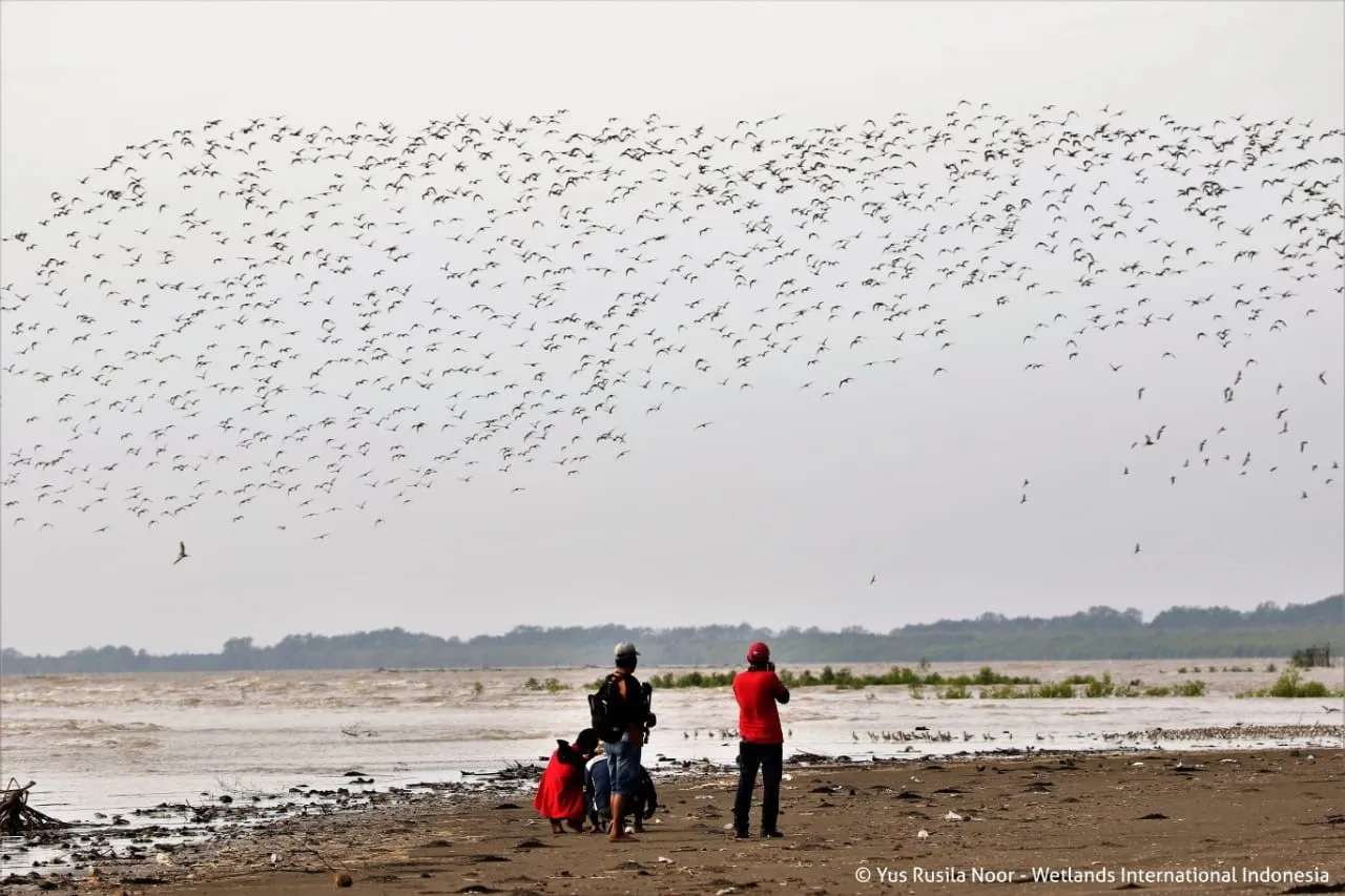 Banner Refleksi Kegiatan AWC di Indonesia dan Informasi Pelaksanaan Tahun 2019