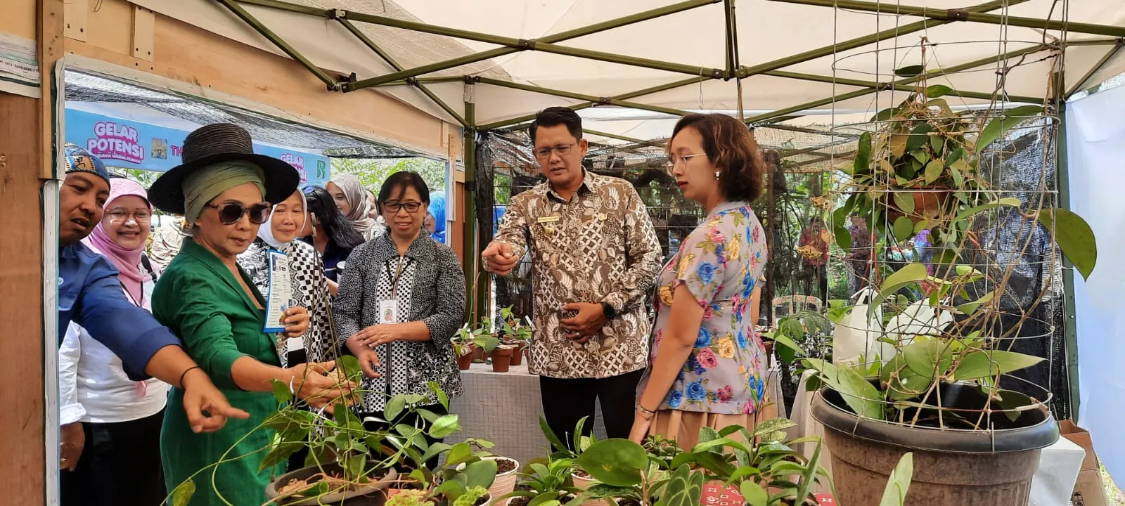 Banner Festival Vanda tricolor ke-6