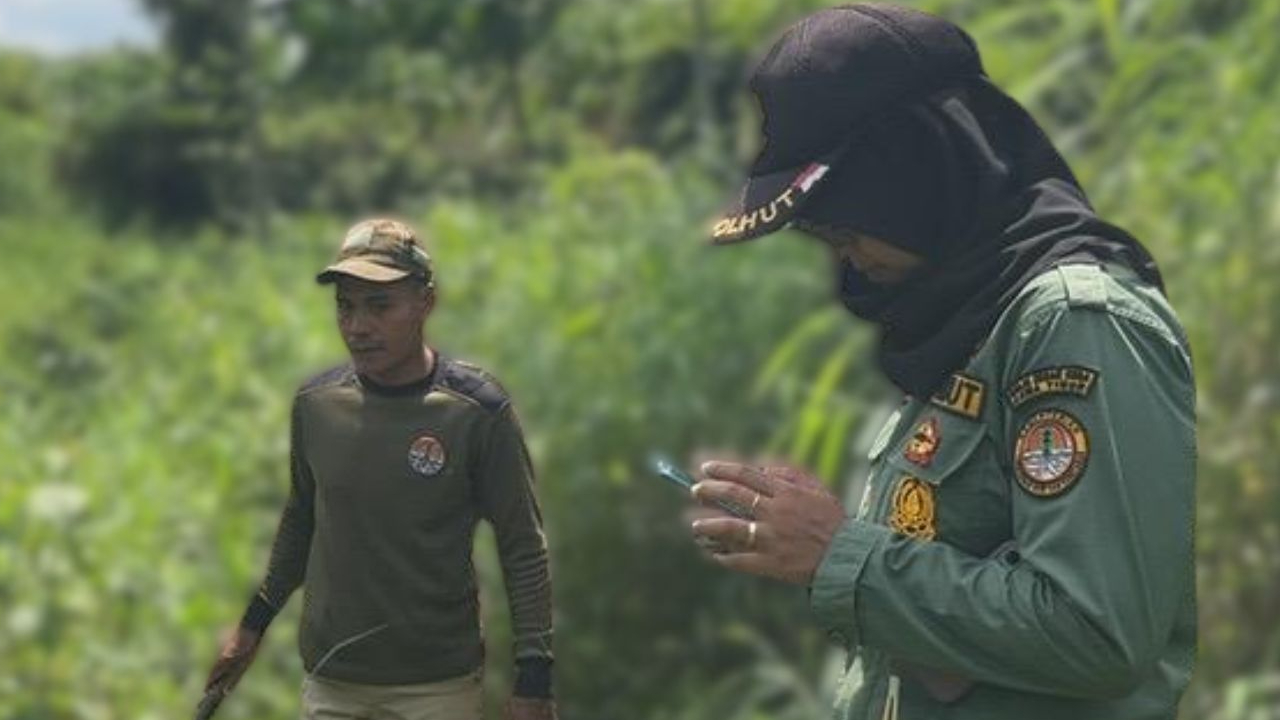 Banner Dari Bubut hingga Landak, Hasil Patroli Ungkap Kondisi Terkini Gua Nglirip