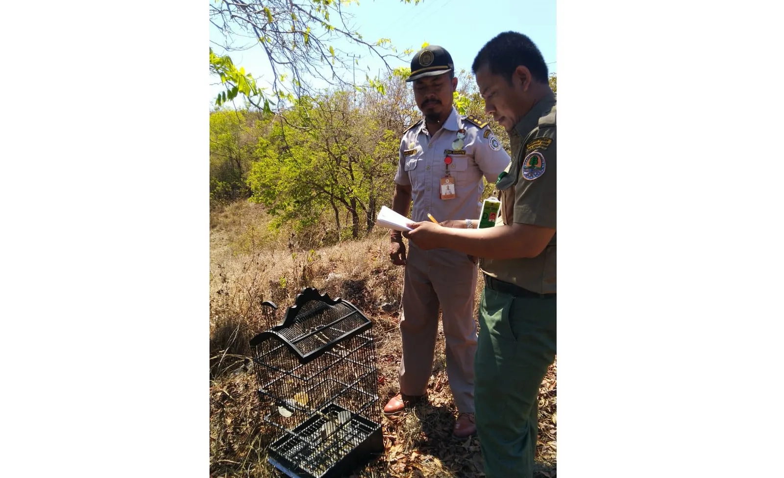 Banner Pelepasan Liaran Burung Dilindungi Hasil Sitaan Di Sumba