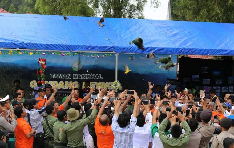 Banner Sosialisasi Peluncuran Taman Nasional Gandang Dewata