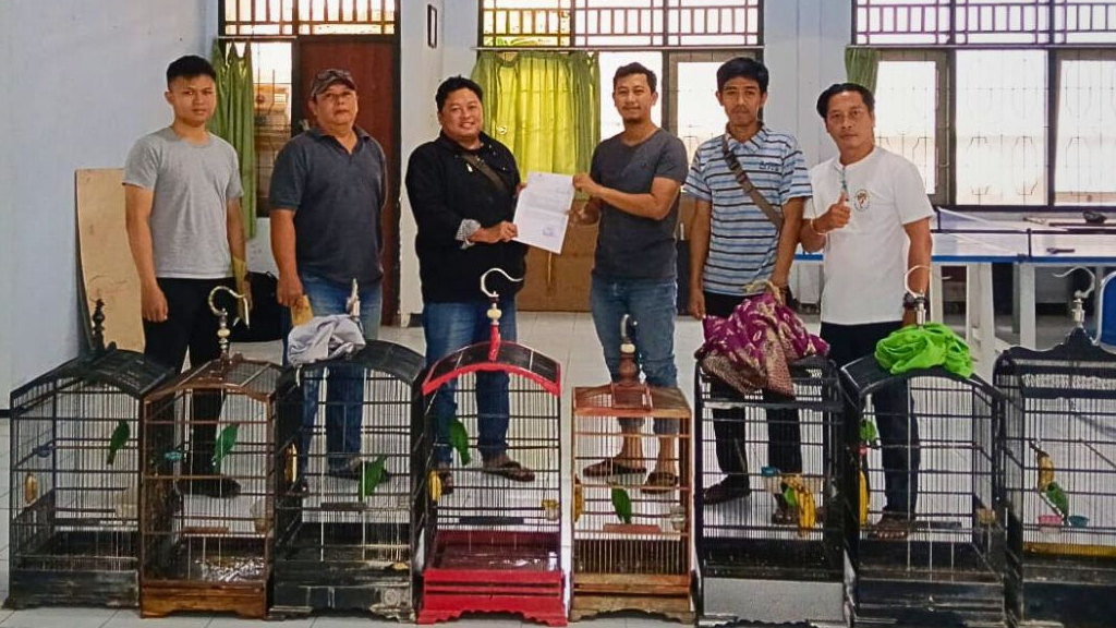 Banner Langgar Undang-Undang Nomor 32 Tahun 2024, 14 Cucak Ijo Diamankan