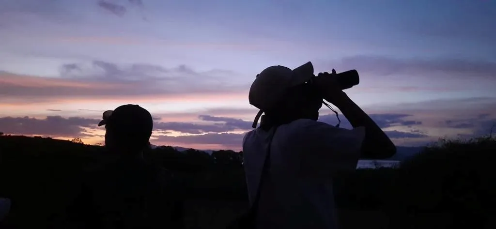 Banner Mencatat Populasi Kalong Besar TN Komodo