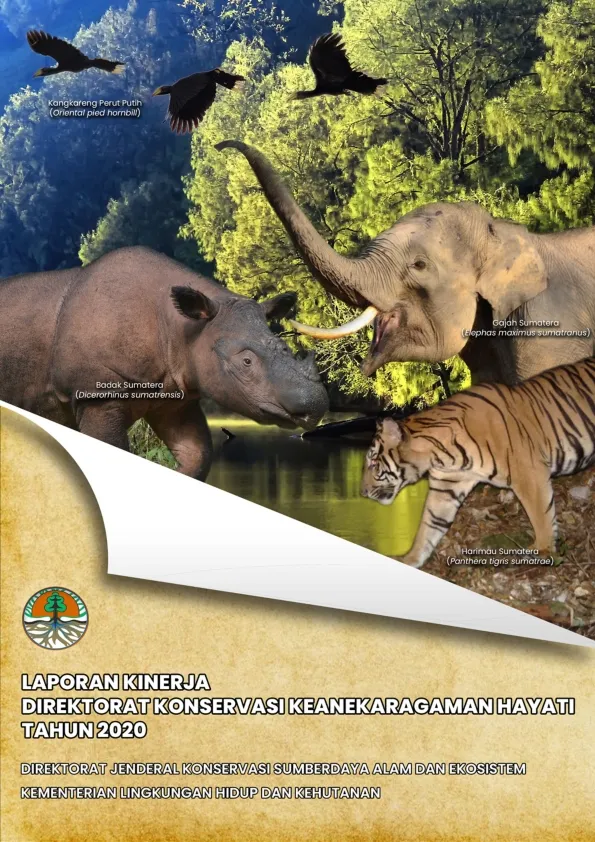 Laporan Laporan Kinerja Direktorat KKH Tahun 2020