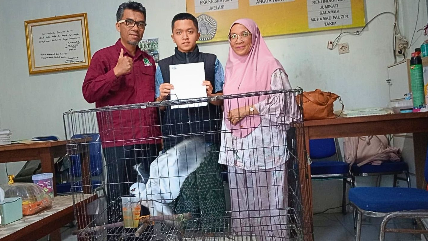 Banner Demi Mengajarkan Cinta Yang Benar, Seorang Ibu Serahkan Elang Tikus Kepada Negara