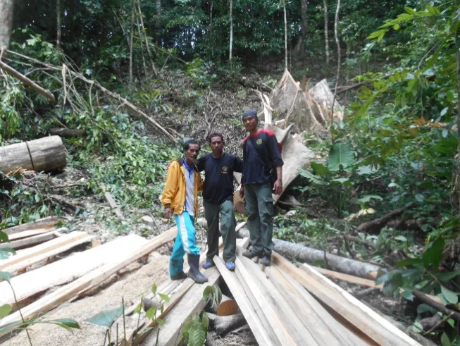 Banner Temukan Bekas Tebangan Dalam Kawasan, Balai TN Kep. Togean Olah TKP