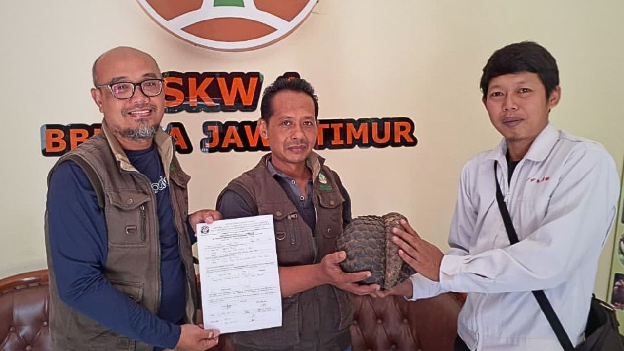 Banner Ketika Media Menjadi Jembatan Warga dan Konservasi, Gelombang Radio Selamatkan Satwa