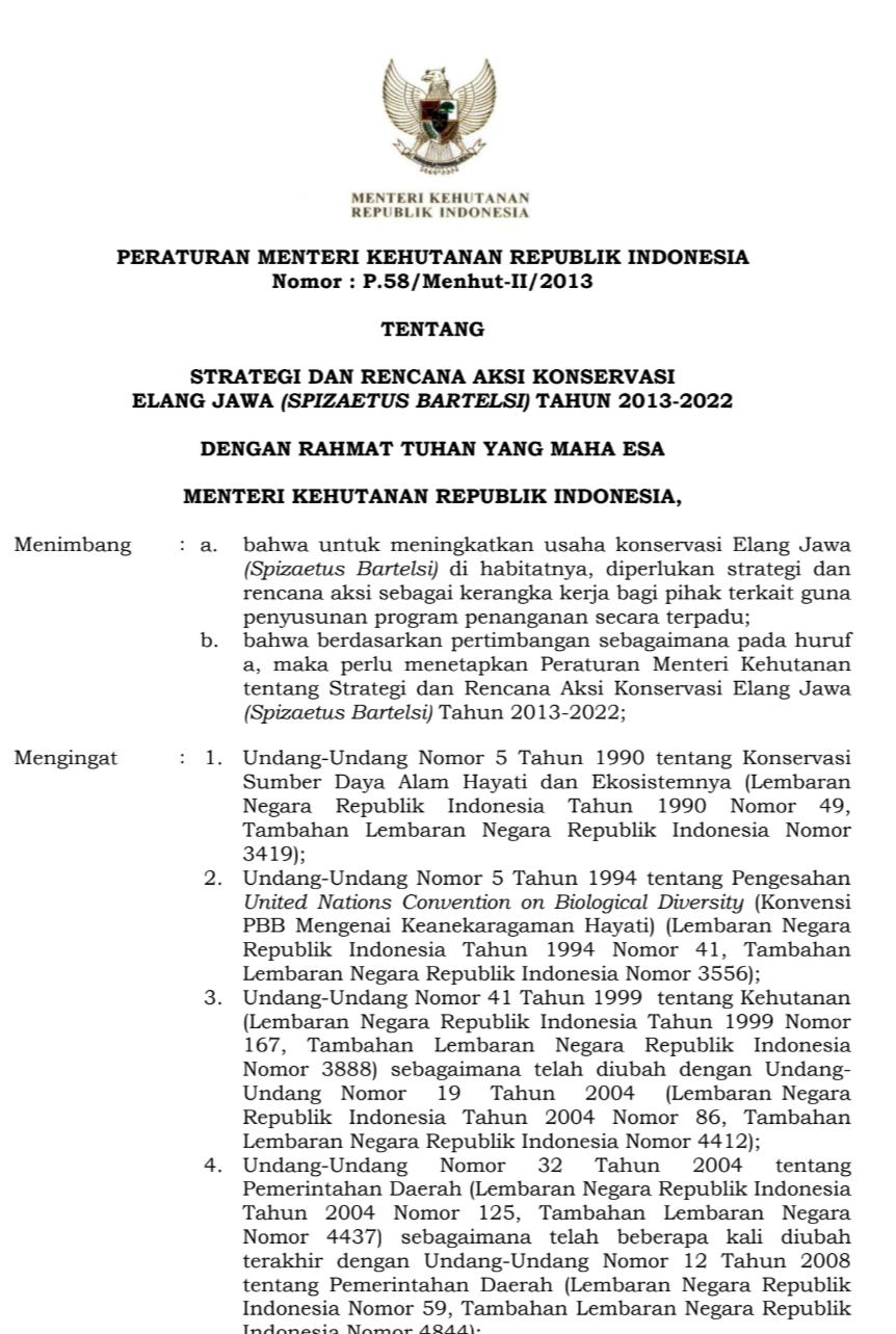 Dokumen SRAK STRATEGI DAN RENCANA AKSI KONSERVASI ELANG JAWA (SPIZAETUS BARTELSI) TAHUN 2013-2022