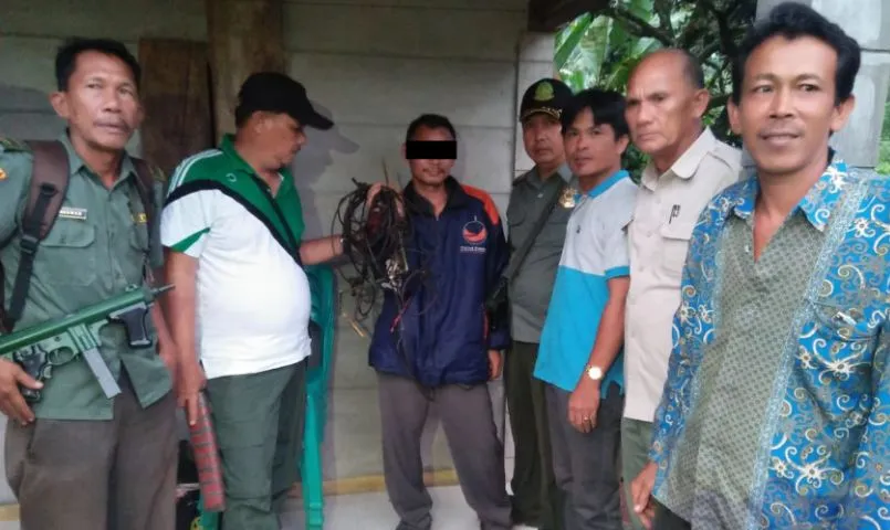 Banner BKSDA Bengkulu Berhasil Tangkap Pemburu Harimau