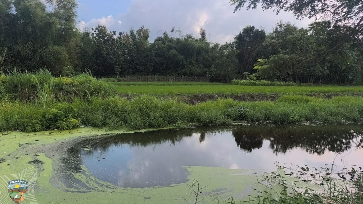 Banner Sebelum Alam Dimanfaatkan, Survei BBKSDA Jawa Timur Menentukan Nasib Satwa di Utara Jawa Timur
