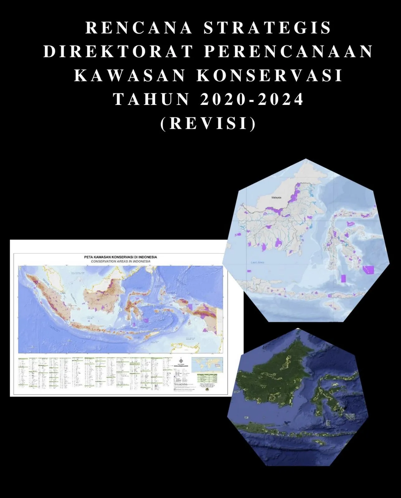 Laporan Rencana Strategis Direktorat Perencanaan Kawasan Konservasi Tahun 2020-2024 (Revisi)