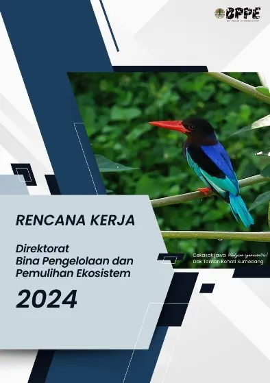 Laporan Rencana Kerja Direktorat BPPE 2024
