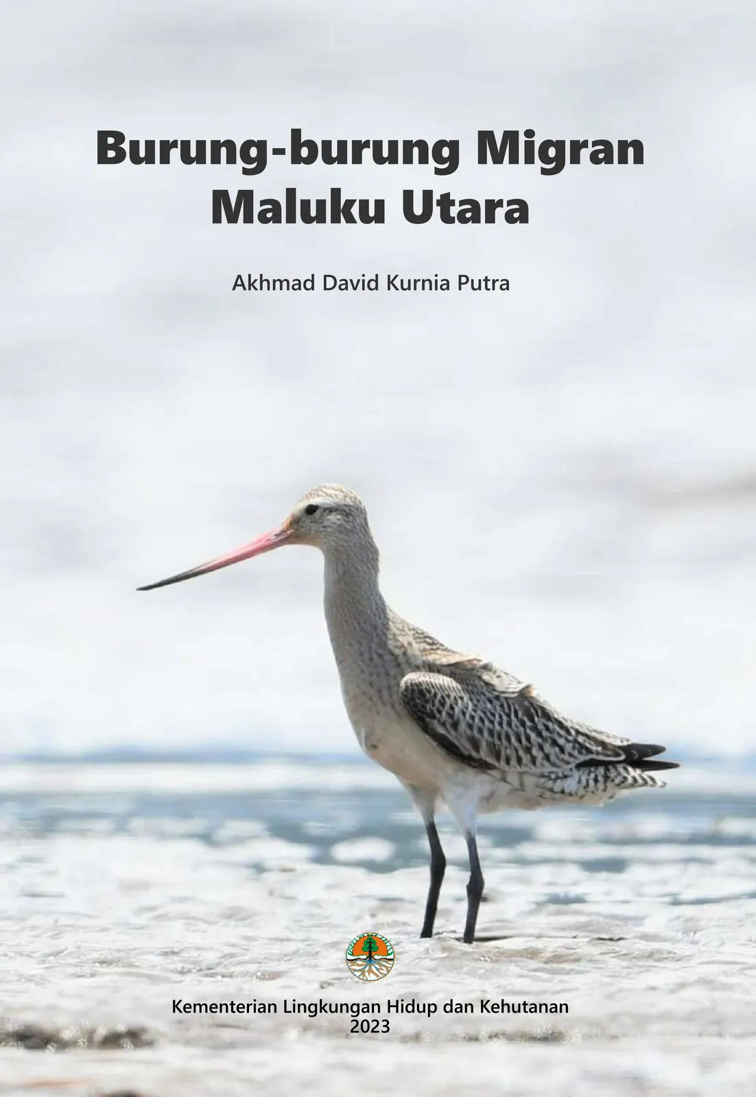 Laporan Burung-burung Migran Maluku Utara