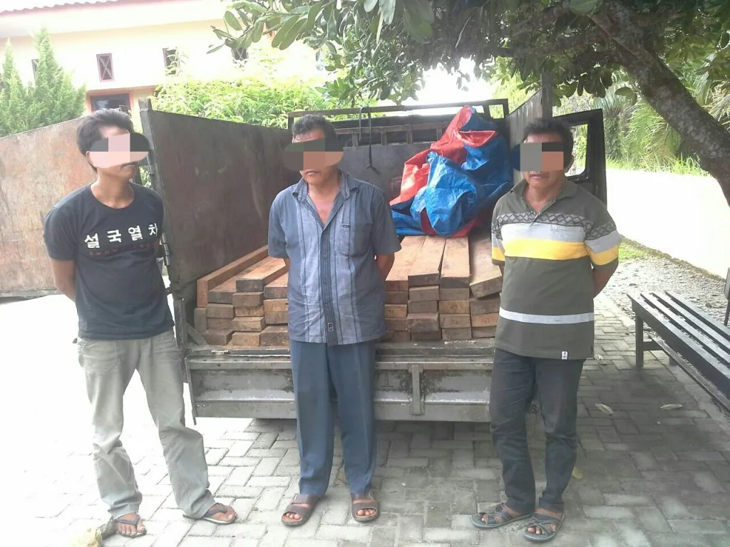 Banner 3 Pelaku Illegal Logging Ditangkap Tim Gabungan BBTN Gunung Leuser