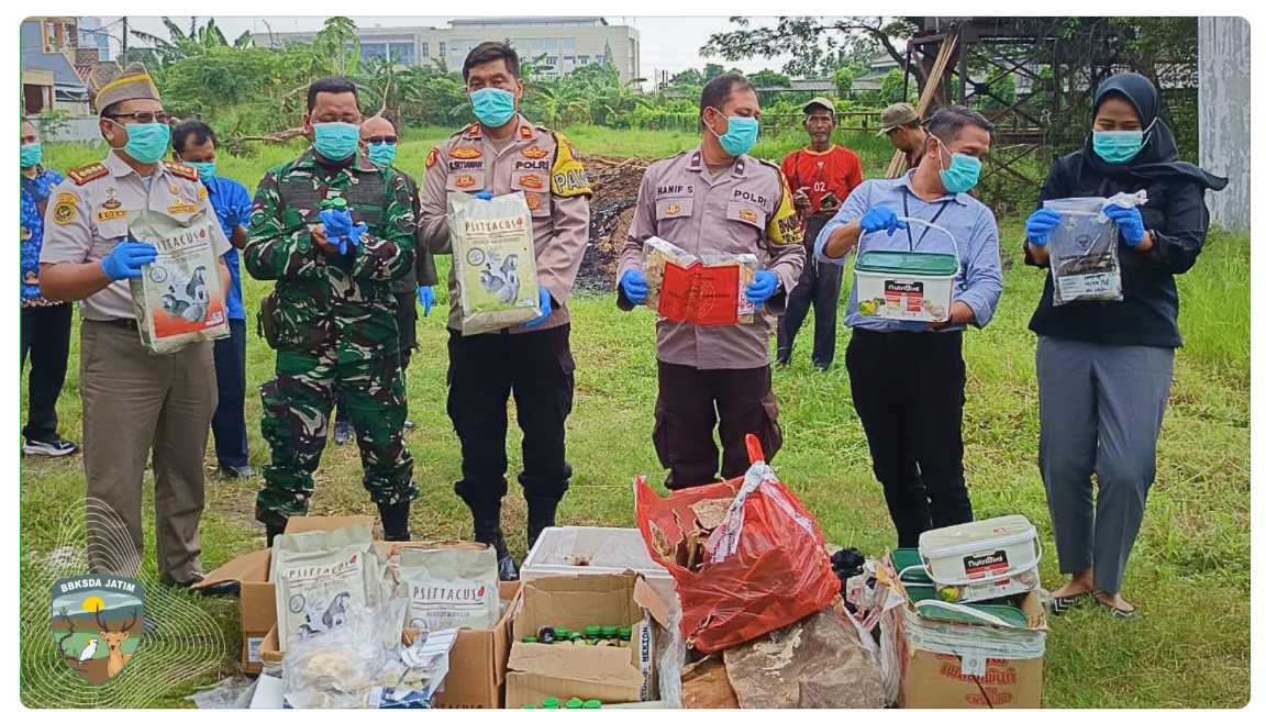 Banner Demi Menjaga Masa Depan Hayati Indonesia, Ratusan Media Pembawa Penyakit Dimusnahkan