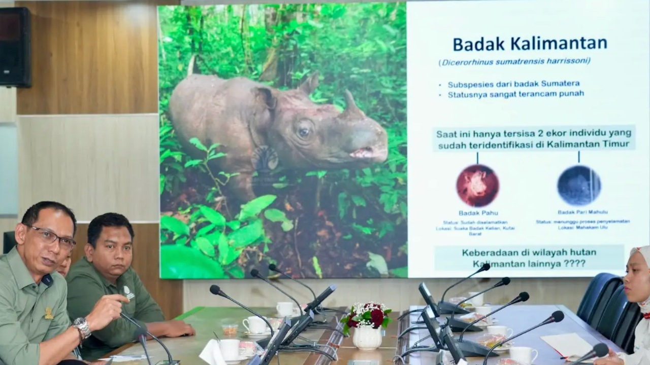 Banner BKSDA Kaltim Paparkan Rencana Translokasi Badak Pari kepada Menteri Kehutanan