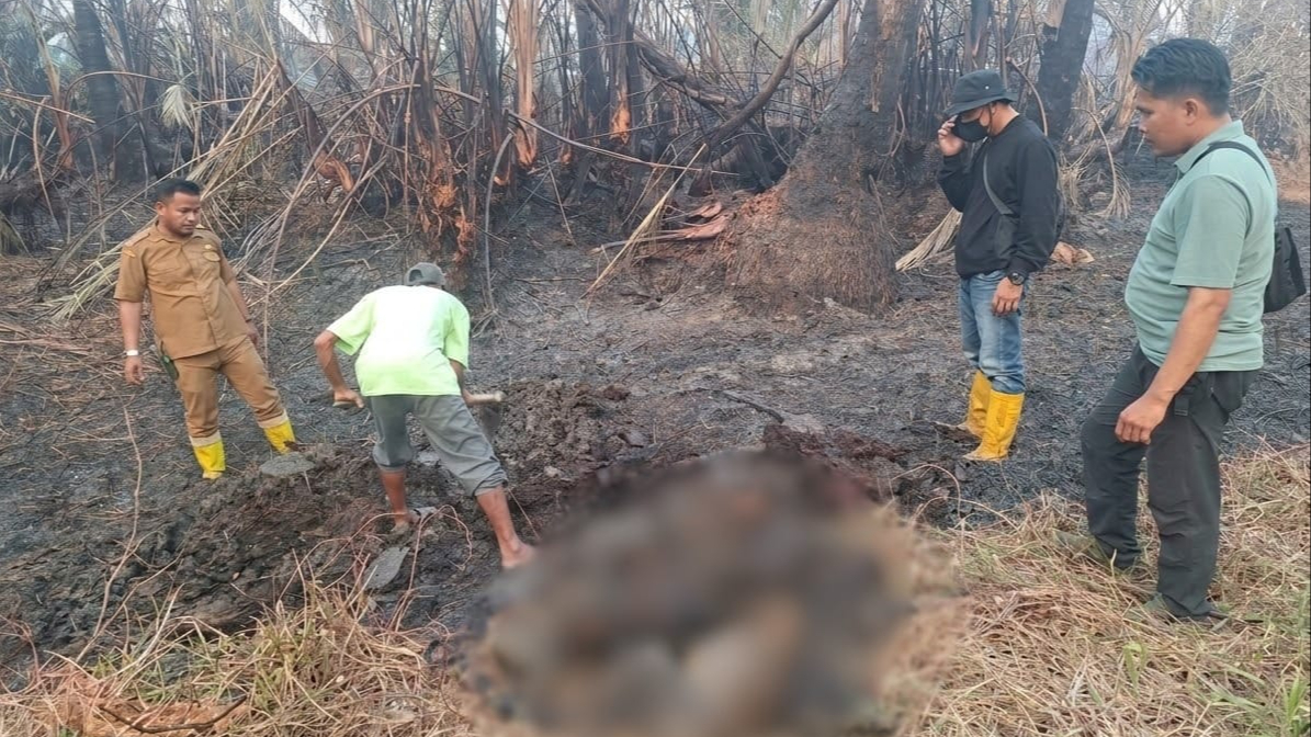 Banner Karhutla Mengancam Kehidupan Satwa Liar di Kalimantan Selatan