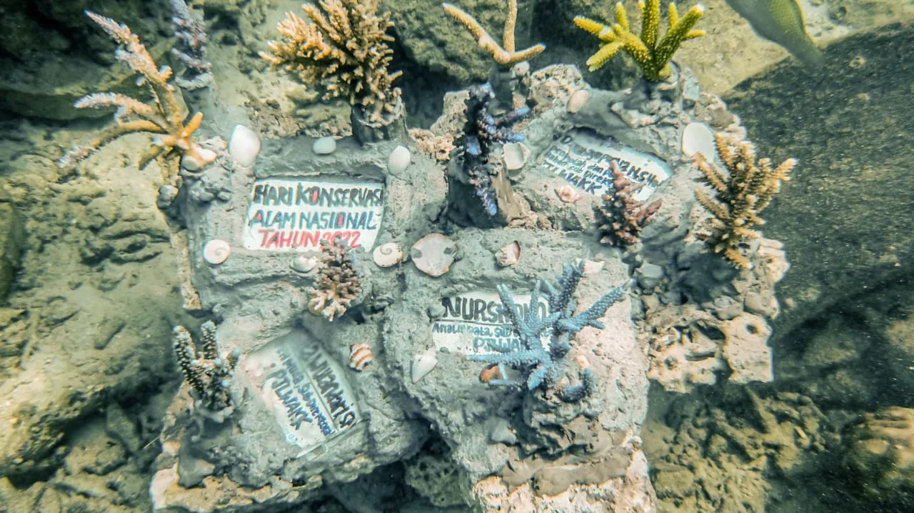 Banner Pelestarian Terumbu Karang Melalui Adopsi Coral di Taman Nasional Kepulauan Seribu