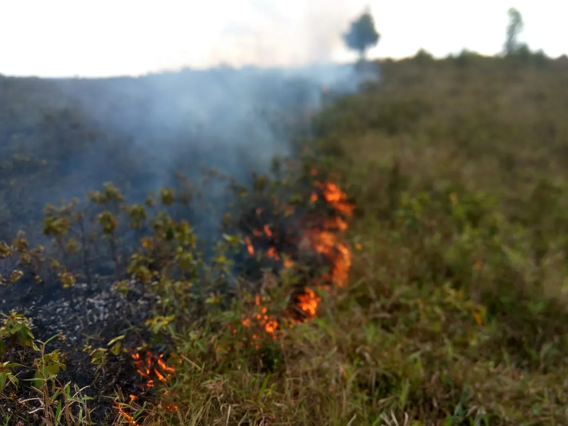 Banner Upaya Balai KSDA Sulawesi Tengah Menangani Karhutla