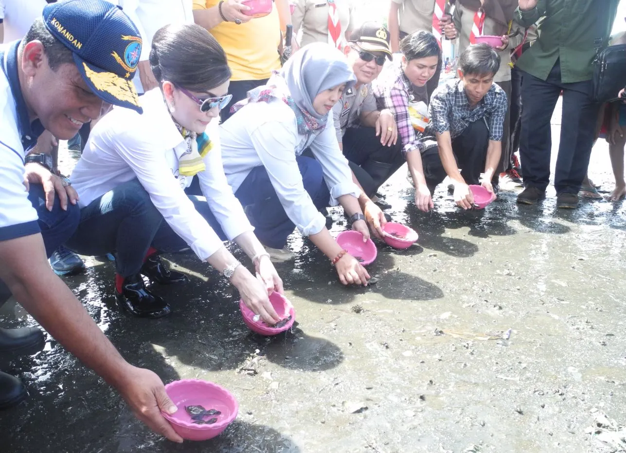 Banner Balai TN Bunaken Bersama Pemkab Minahasa Selatan, Kampanyekan Pelestarian Penyu dan Duyung